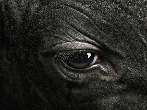 Photograph Jens Edgar Haugen Bullseye on One Eyeland